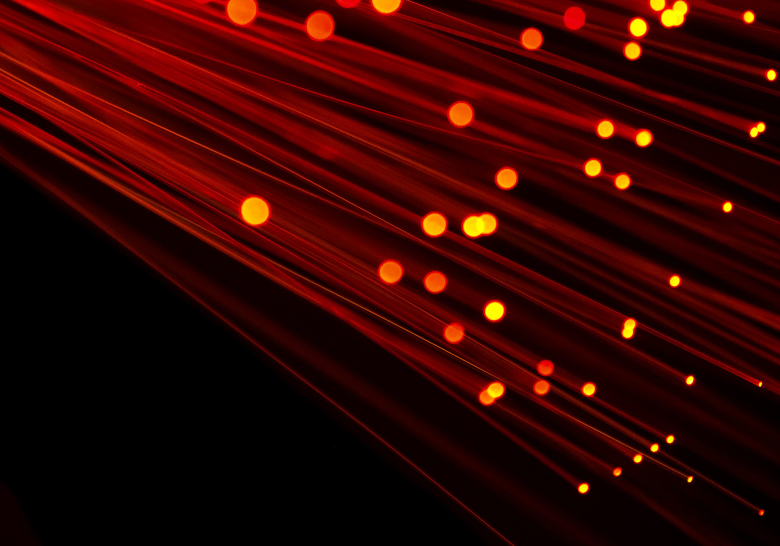 compare-fibre-PAOv9-7VBMI-unsplash